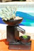 The Fountain